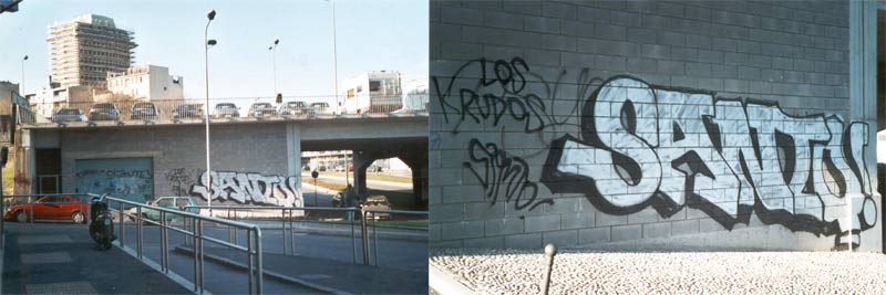 SANTO  GARIBALDI 2003